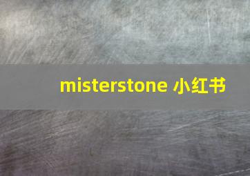 misterstone 小红书